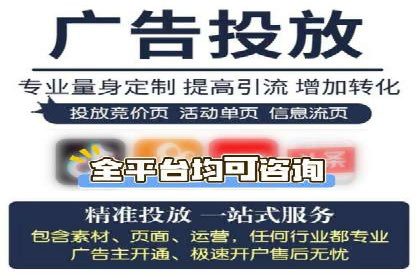 SEM竞价优化案例：品牌曝光与转化双提升